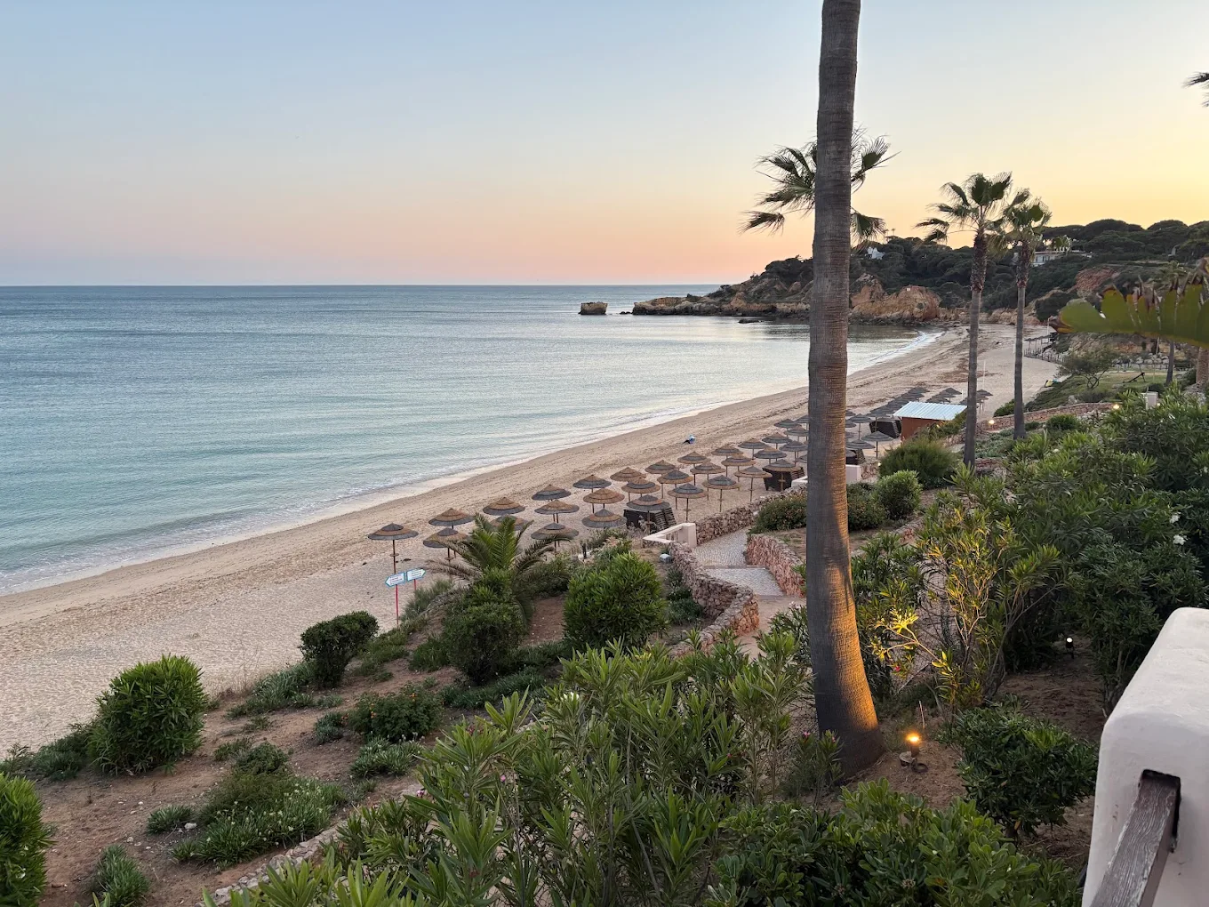 Santa Eulália beach at sunset with palms and calm water